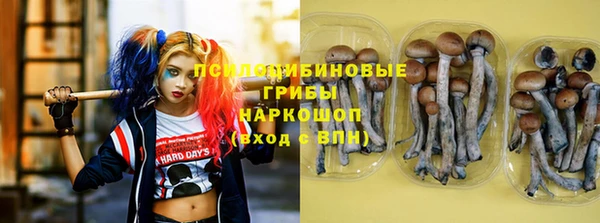 скорость Алексин